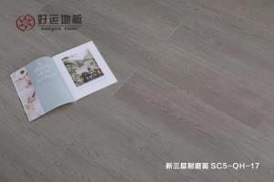 草莓视频完整高清在线播放下载地板 | 居家生活，百看不腻