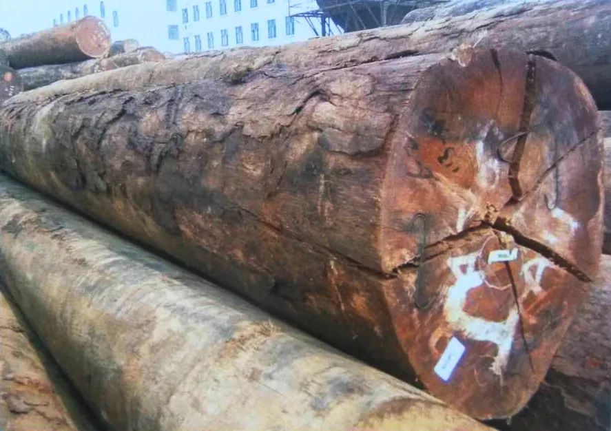 草莓视频完整高清在线播放下载6.jpg